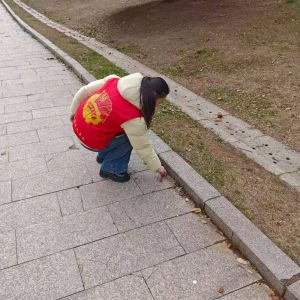 2026.01.28金沙溪湿地公园河小清